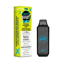 Flavour Beast Flow Disposables - Image 24